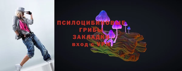 ешки Алексеевка