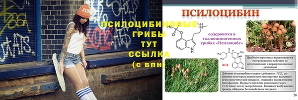 ешки Алексеевка