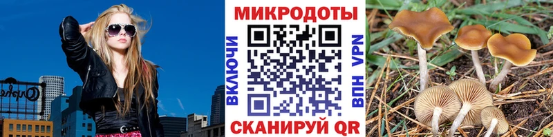 Псилоцибиновые грибы Magic Shrooms  Фролово 